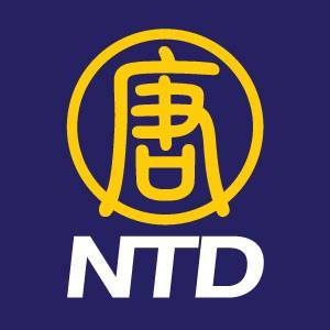 NTD Logo